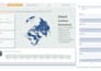 build bi dashboards, sql , and data analysis solutions